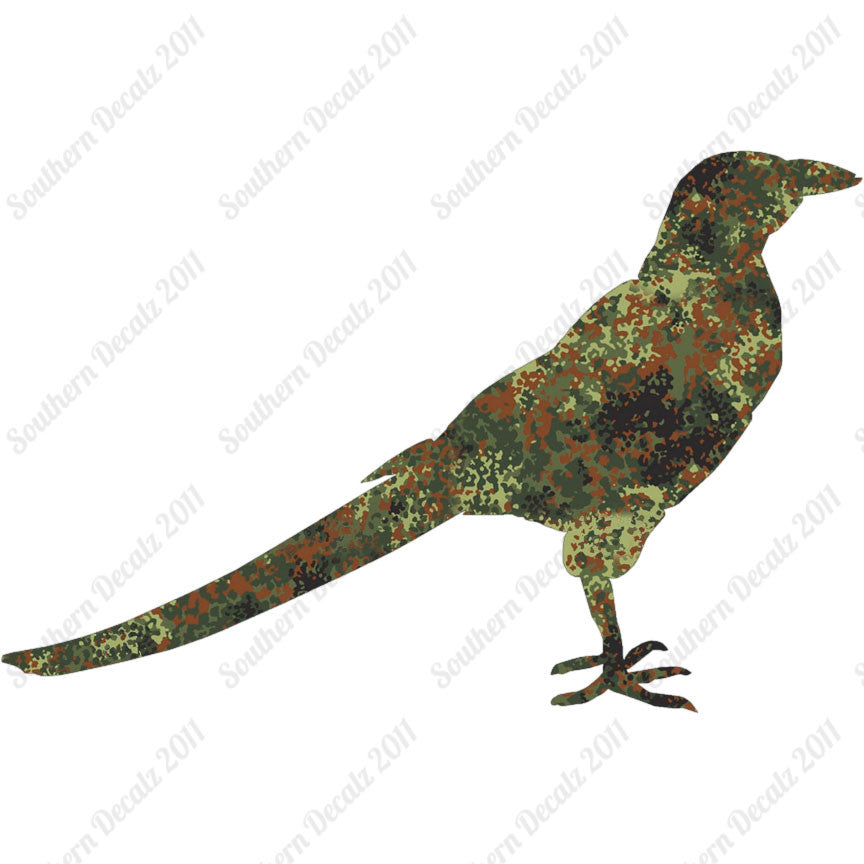 Magpie Crow