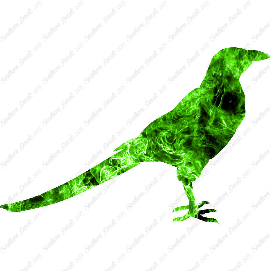Magpie Crow