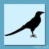 Magpie Crow