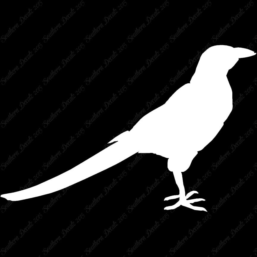 Magpie Crow