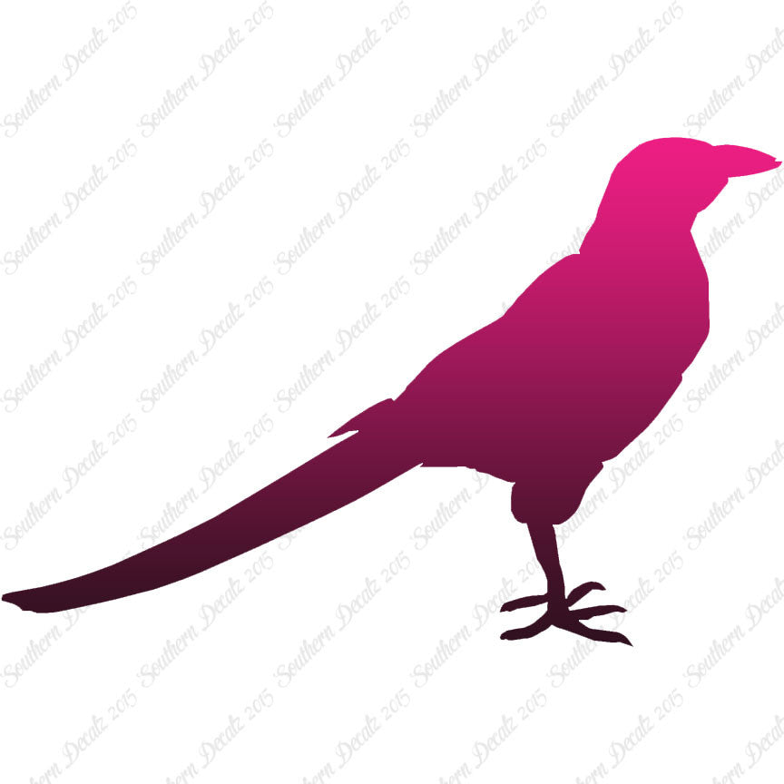 Magpie Crow