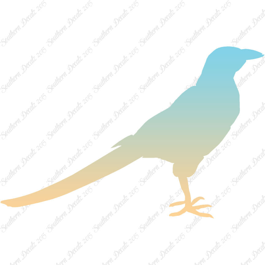 Magpie Crow