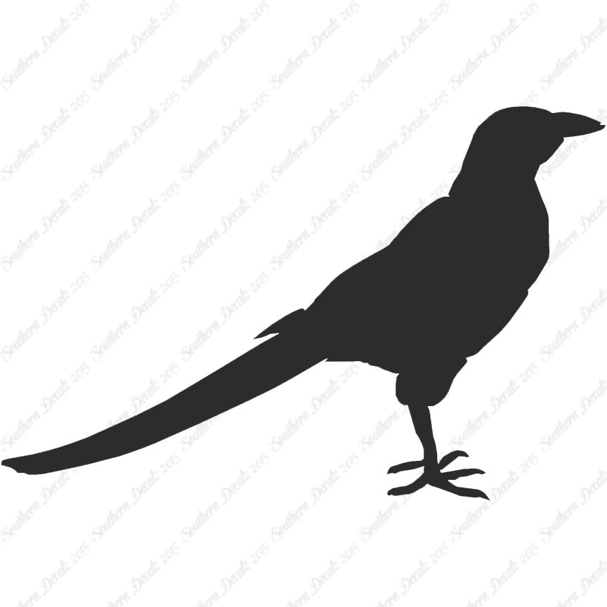 Magpie Crow