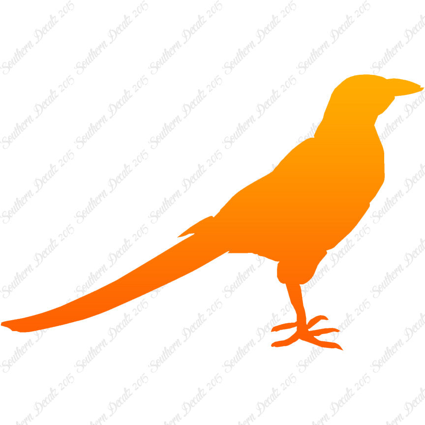 Magpie Crow