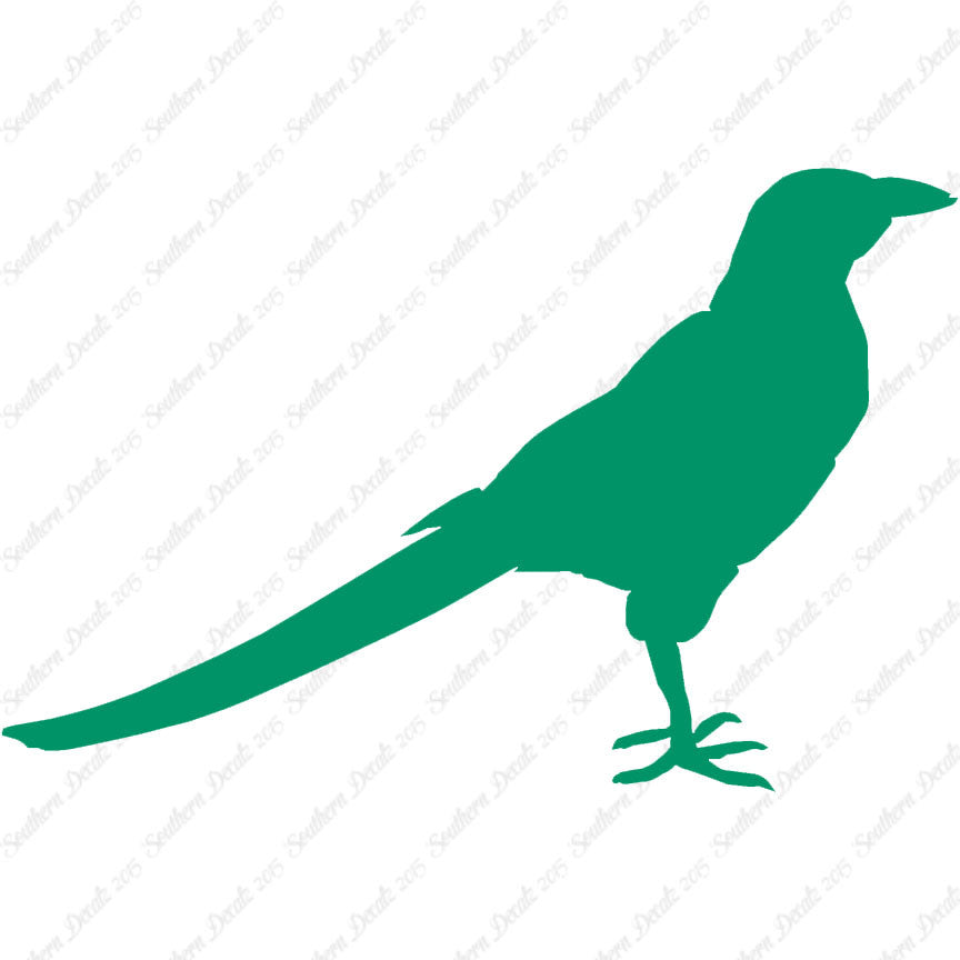 Magpie Crow