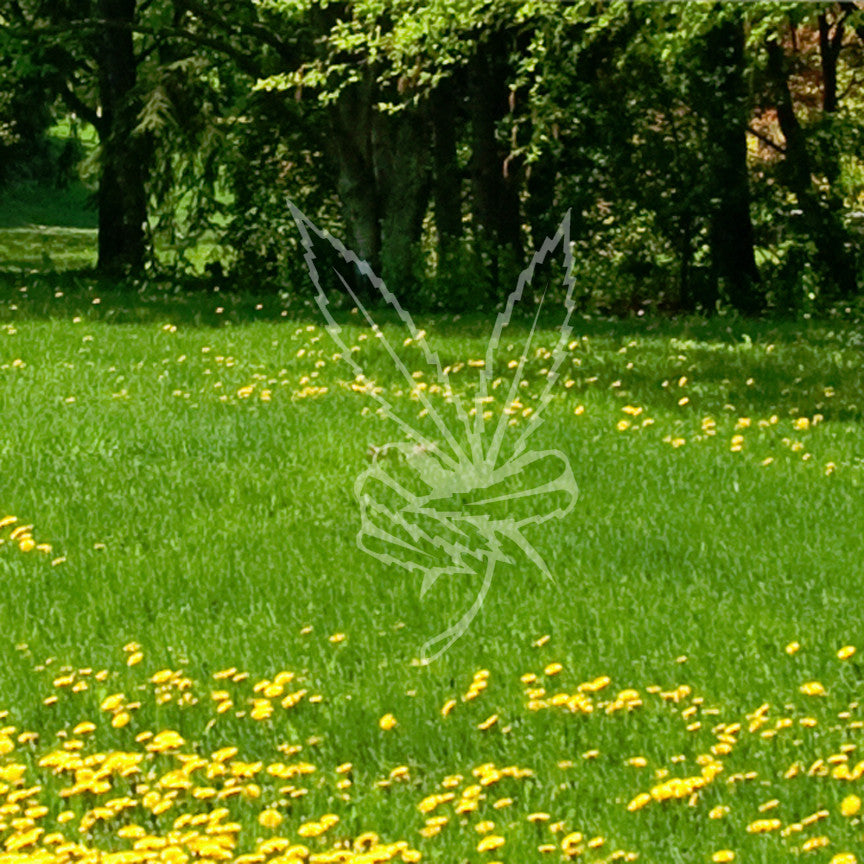 Marijuana Peace Sign