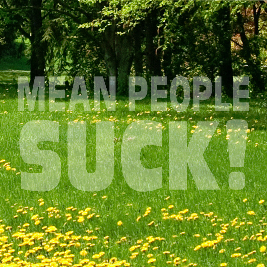 Mean People Suck