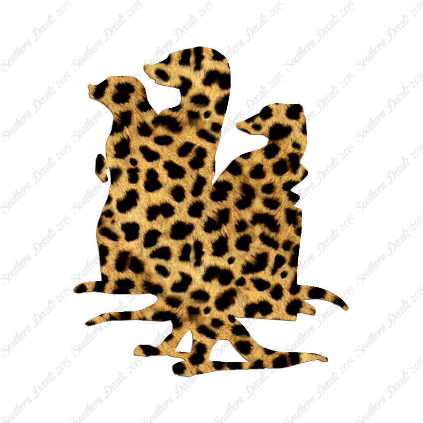Meerkat Mongoose