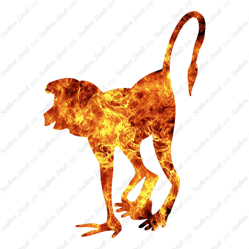 Monkey Chimpanzee Chimp