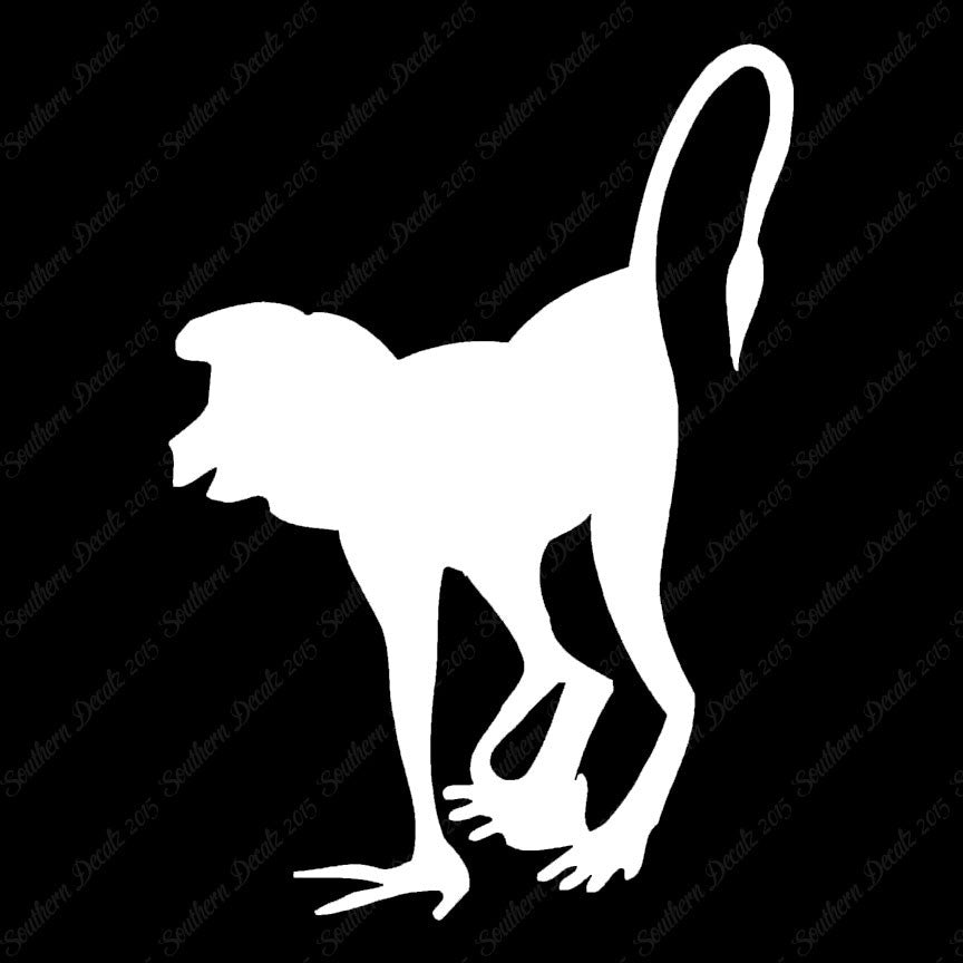 Monkey Chimpanzee Chimp