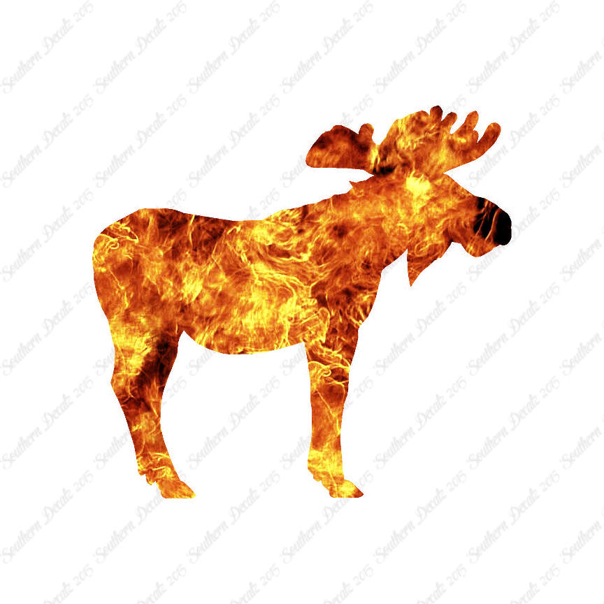Moose Antler Elk