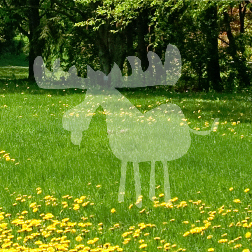 Moose Drawing Antler