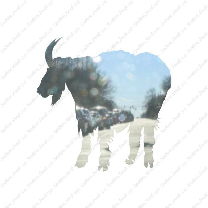 Mountain Billy Goat