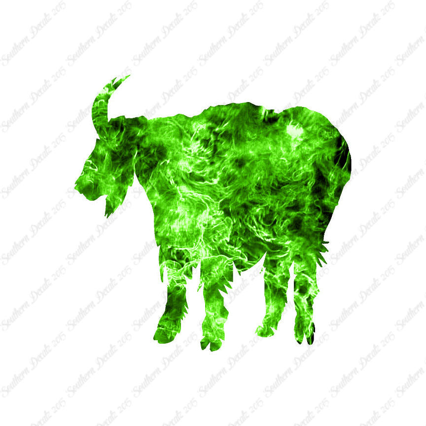 Mountain Billy Goat