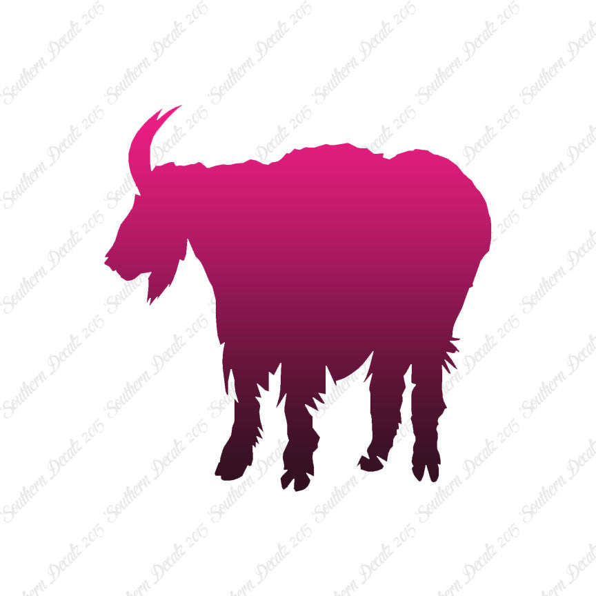 Mountain Billy Goat