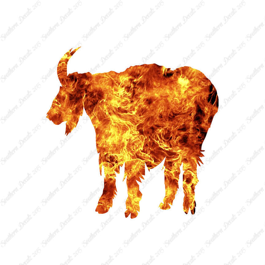 Mountain Billy Goat
