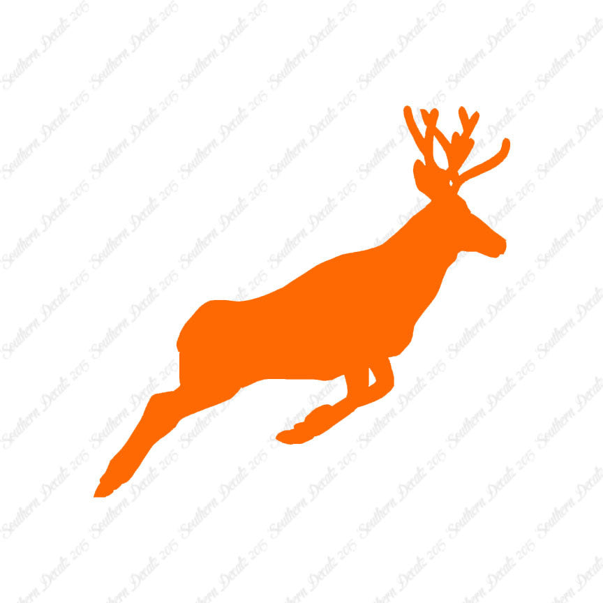 Mule Deer Buck Doe
