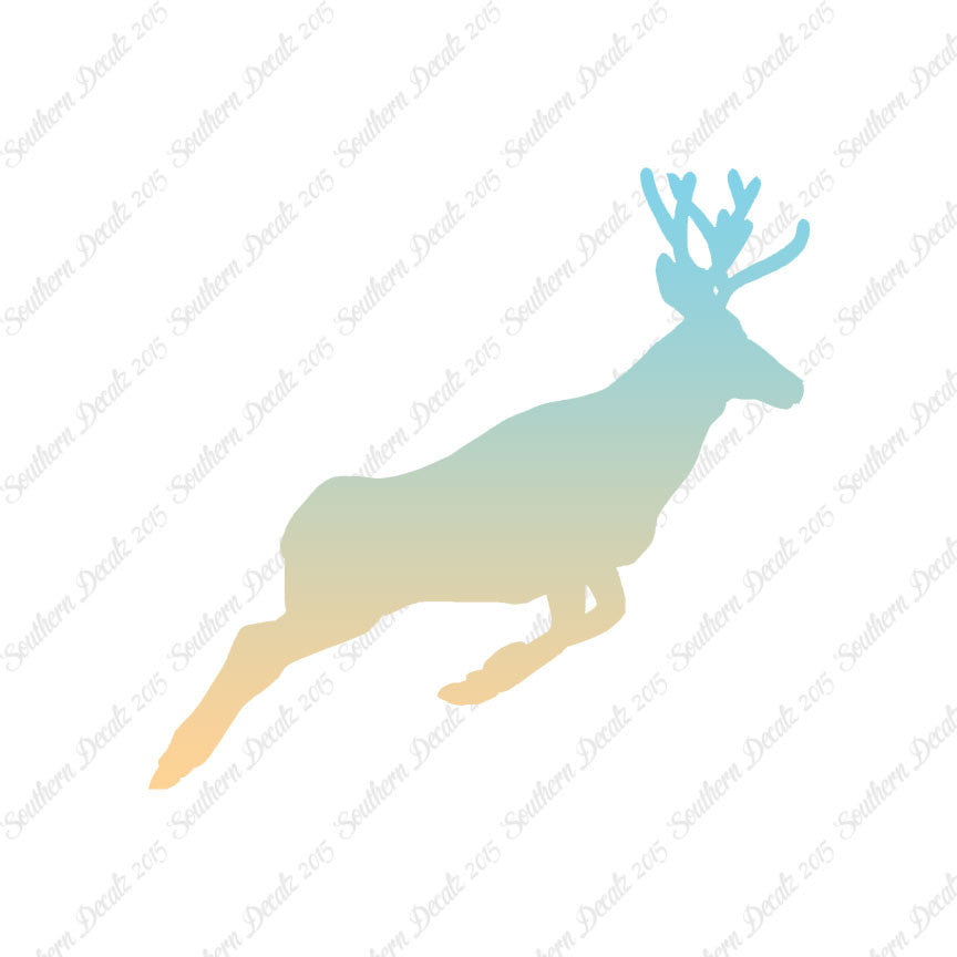Mule Deer Buck Doe