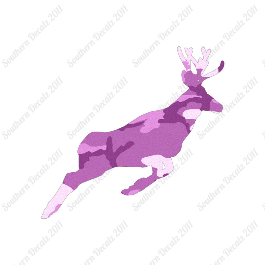 Mule Deer Buck Doe