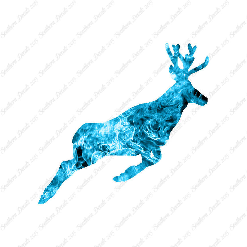 Mule Deer Buck Doe