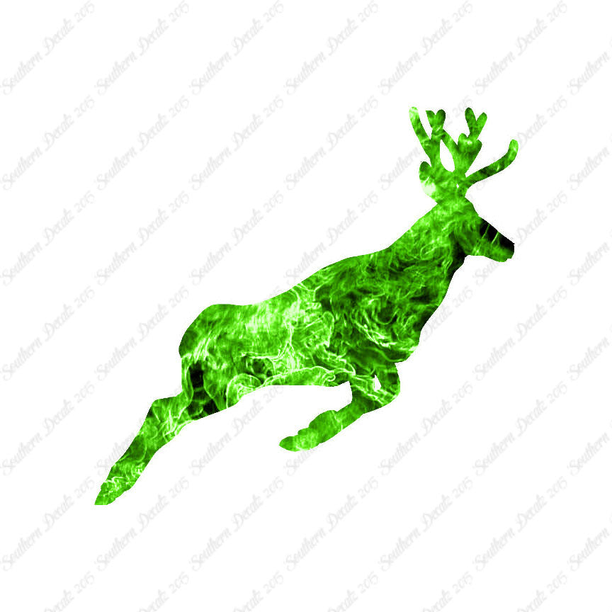 Mule Deer Buck Doe