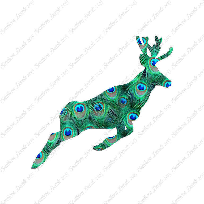 Mule Deer Buck Doe