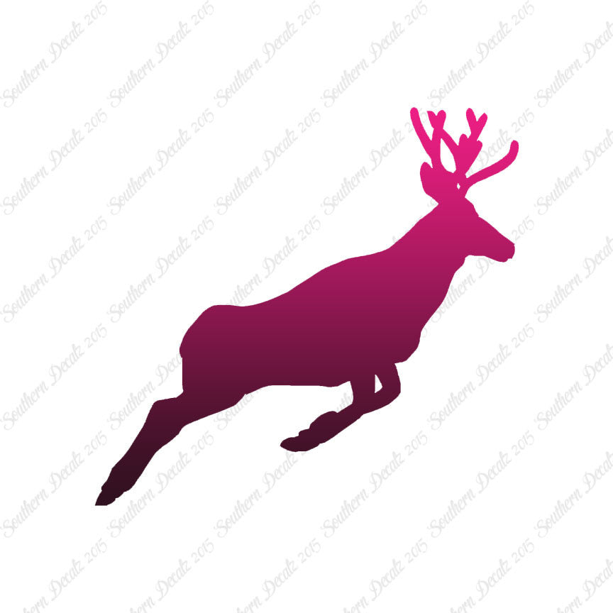 Mule Deer Buck Doe