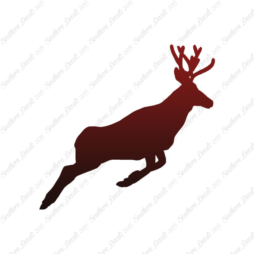 Mule Deer Buck Doe