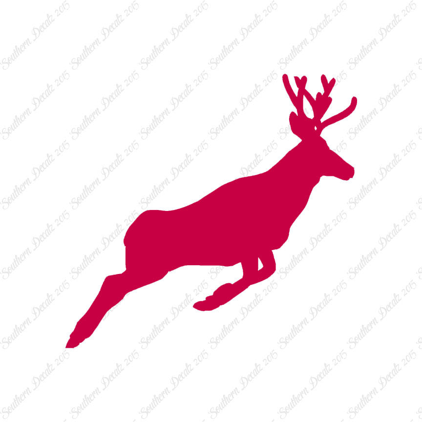 Mule Deer Buck Doe