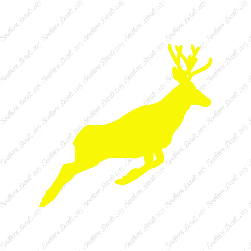 Mule Deer Buck Doe