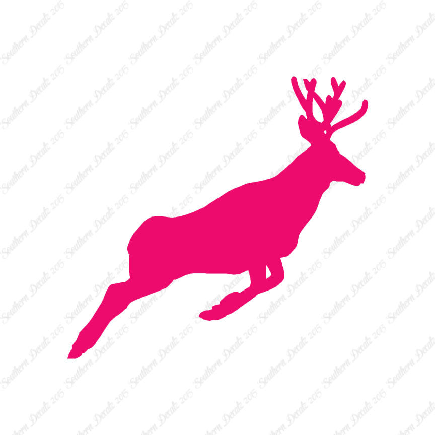 Mule Deer Buck Doe
