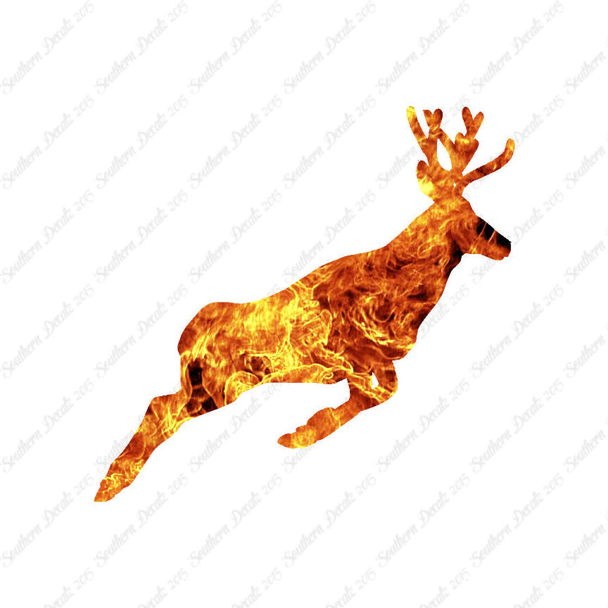 Mule Deer Buck Doe