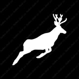 Mule Deer Buck Doe