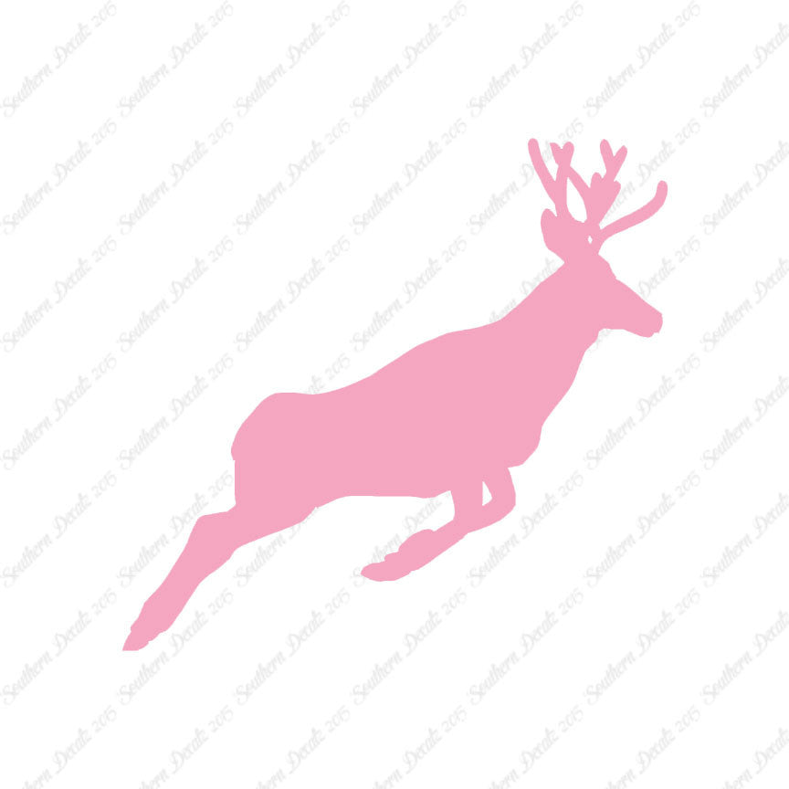 Mule Deer Buck Doe