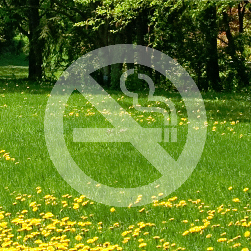 No Smoking Sign