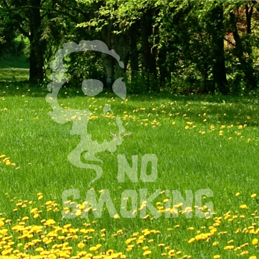 No Smoking Death Skull