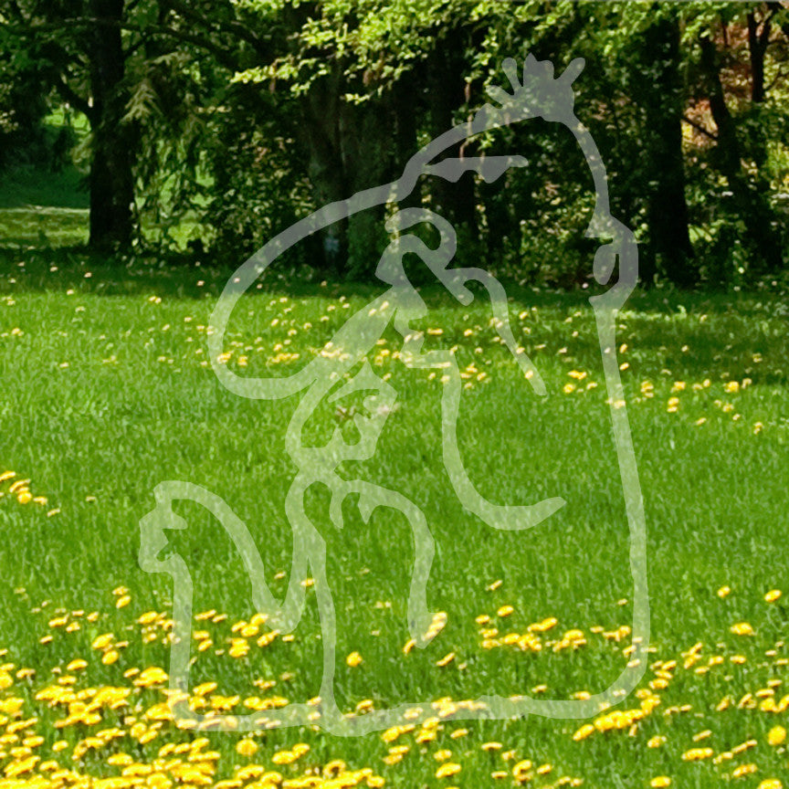 Nose Pick Funny Drawing