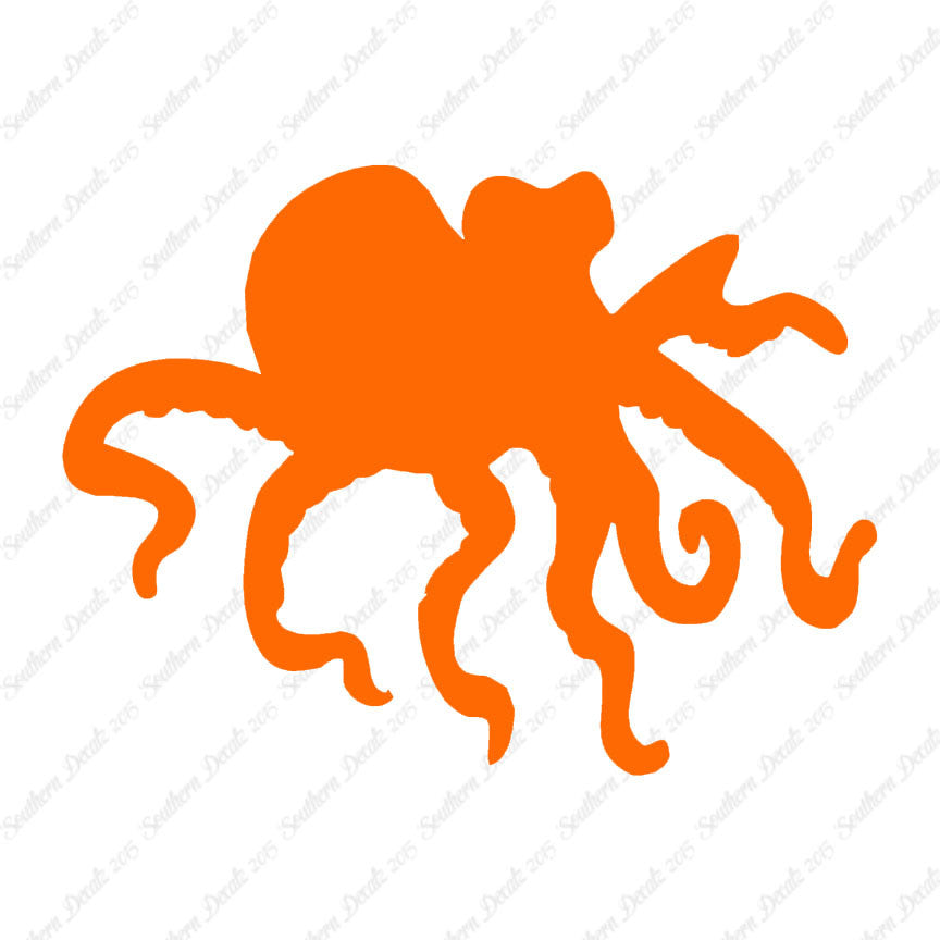 Octopus Squid
