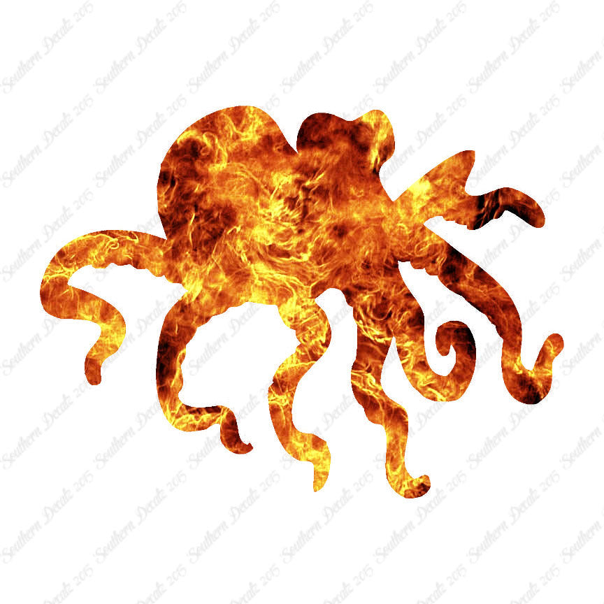 Octopus Squid