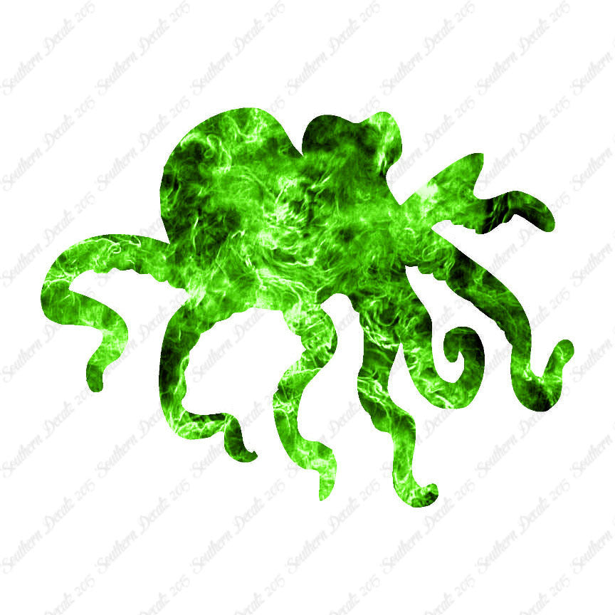 Octopus Squid