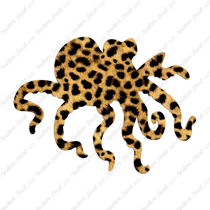 Octopus Squid