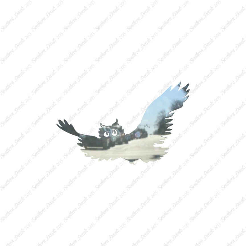 Owl Snow Barn Screeching