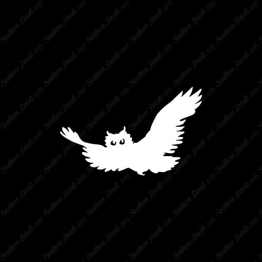 Owl Snow Barn Screeching