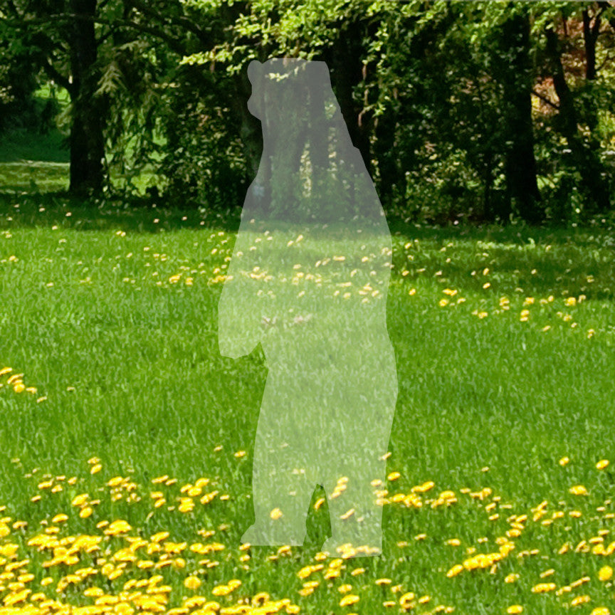 Standing Bear