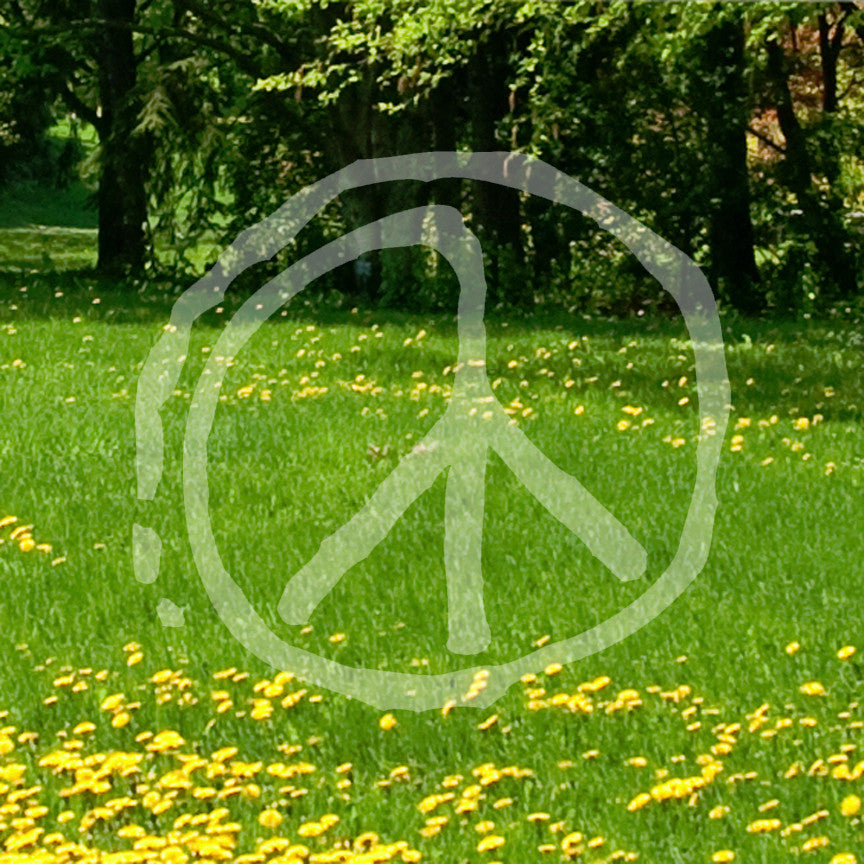 Peace Sign Paint