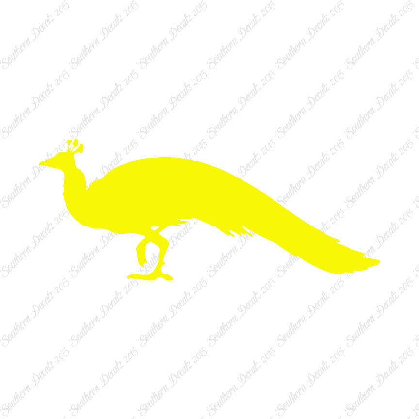 Peacock Bird