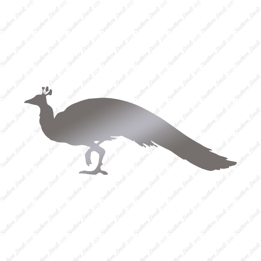 Peacock Bird