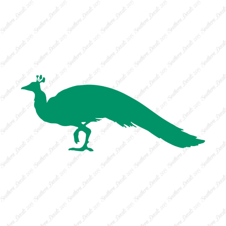 Peacock Bird