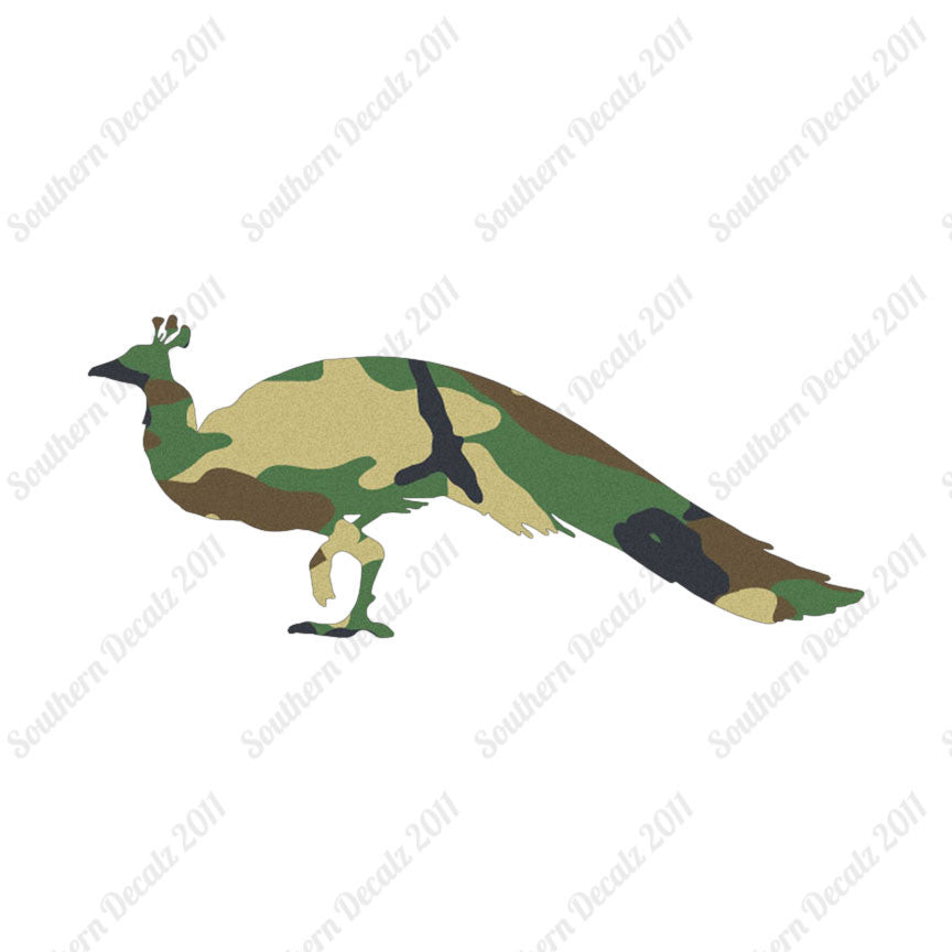 Peacock Bird