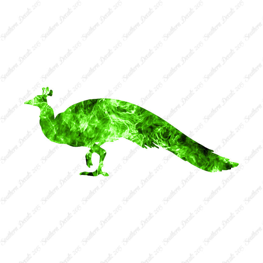 Peacock Bird